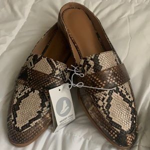 Brown Snake Mules